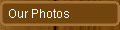 SMD Photos